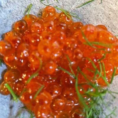 Aljonuschka Altstadt