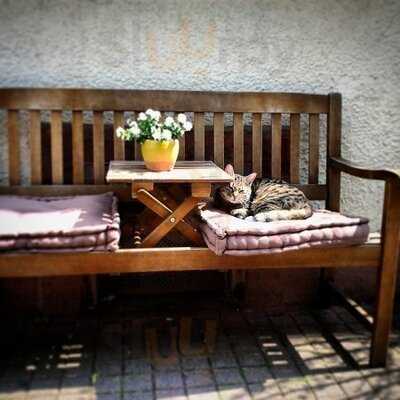 Bio Eismanufaktur Heidelberg