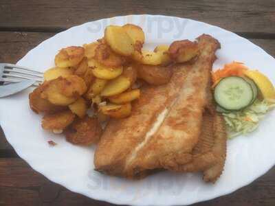 Fisch Paul