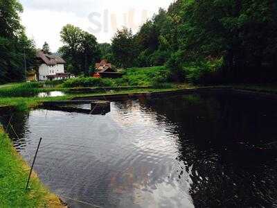 Forellenzucht Baden-baden