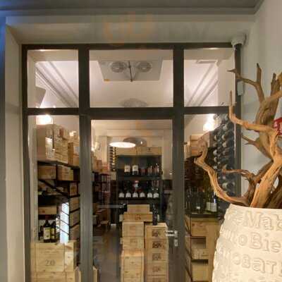 Prinzinger By Saittavini