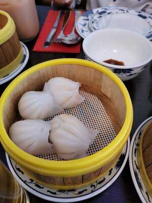 Tao China Bistro Dim Sum