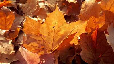 Naturfreundehaus Kirschheck