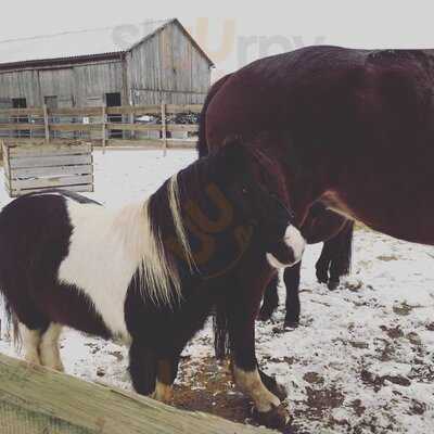 Wirtshaus Zum Reiterhof