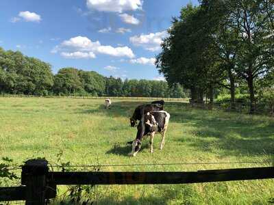 Café-restaurant Am Rubbenbruchsee
