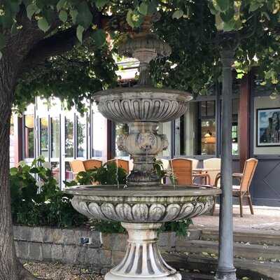 Elbterrasse Wachwitz