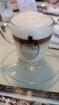 Micky Und Molly Veganes Cafe & Katzenmuseum