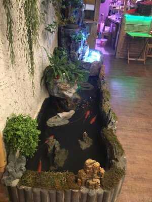 Omachi Fernöstliche Küche