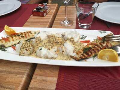 Angelo Trattoria Enoteca