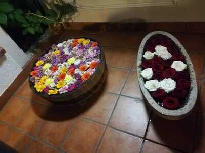 Casa Nova Enoteca E Griglia