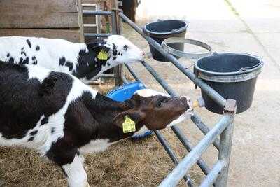 Blocklander Eisdiele - Snuten Lekker