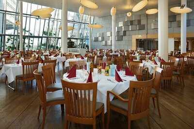 Freiluftbar Zeppelin