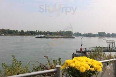 Mole Biergarten Sommerlounge