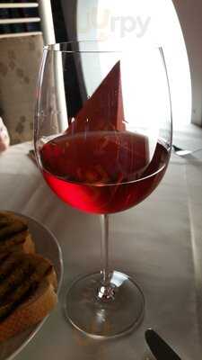 Silbervogel Hannover