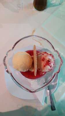 Silbervogel Hannover