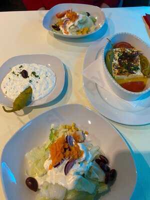 Silbervogel Hannover