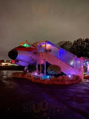 Silbervogel Hannover