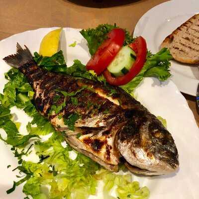 Taverna Kolokotronis