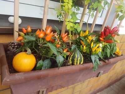 Wonnhalde Gaststätte - Pizzeria