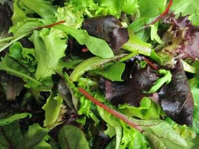 Gaststätte Zur Schwarzamsel