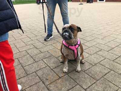 Strandgaststätte Behrens