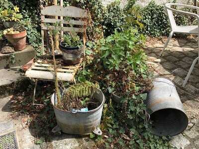 Burghof Wallhausen Restaurant