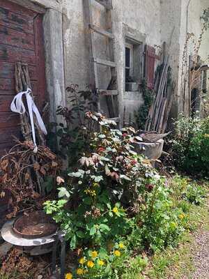 Burghof Wallhausen Restaurant