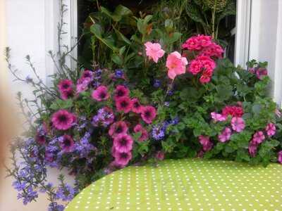 Gaststatte Mosellied