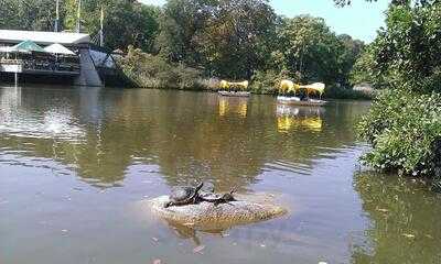 Seerestaurant Cafe Im Luisenpark