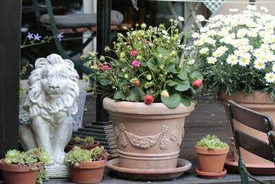 Brinkama's Restaurant