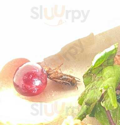 Dean&david - Fresh To Eat