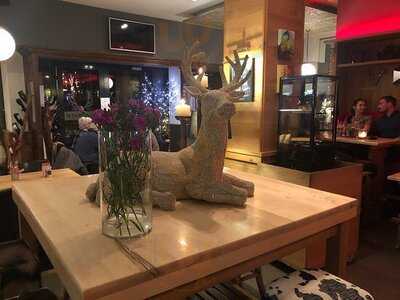 Platzhirsch Im Ostertor