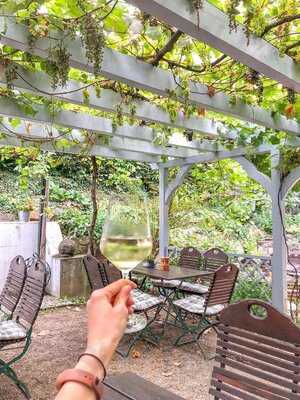 Weingarten Zur Reblaus