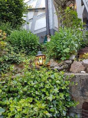 Weingarten Zur Reblaus