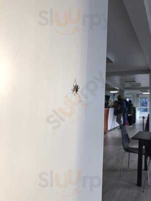 Cafe Restaurant Fredersdorf