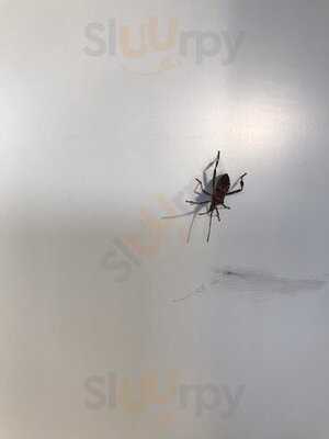 Cafe Restaurant Fredersdorf