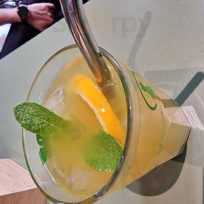 Katzentempel Leipzig