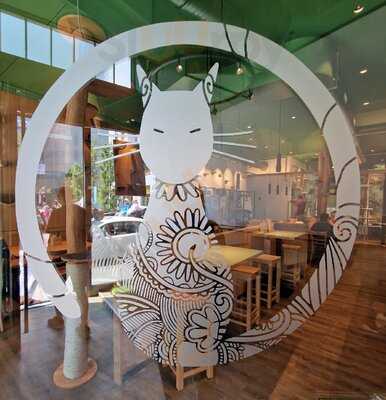 Katzentempel Leipzig