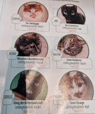 Katzentempel Leipzig