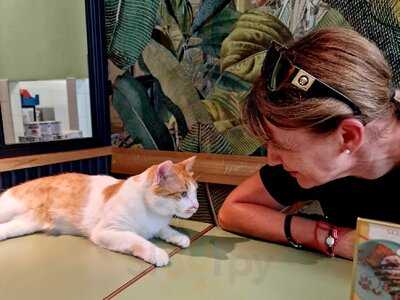 Katzentempel Leipzig