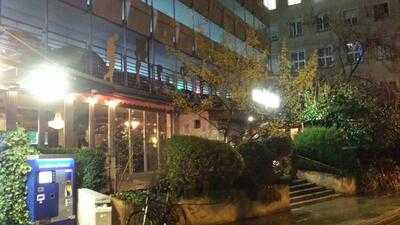 Schlesinger International