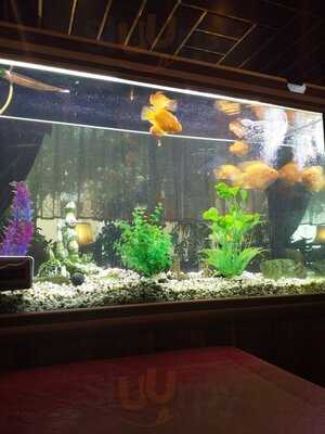 China Restaurant Singapur