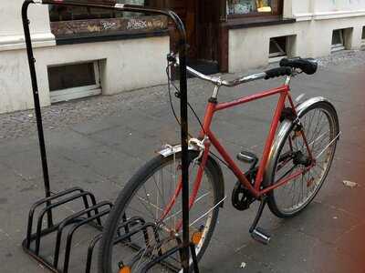 Beard Brothers & Sisters