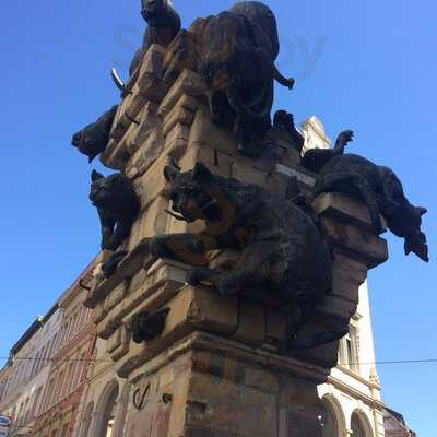 Coffee Fellows - Kaffee, Bagels, Frühstück