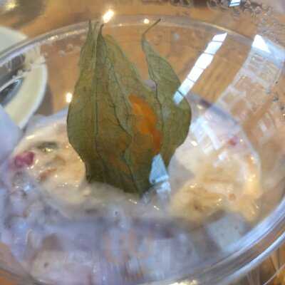 Coffee Fellows - Kaffee, Bagels, Frühstück