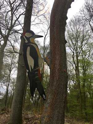 Hildesheimer Aussichtsturm Waldgaststatte