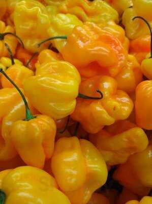 Frischeparadies Essen