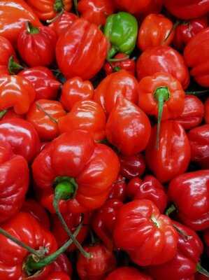 Frischeparadies Essen