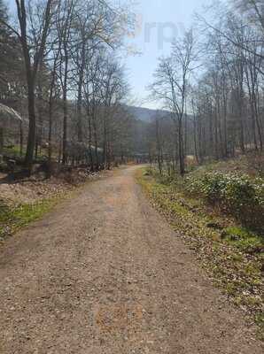 Uhu Pavillon - Wildpark