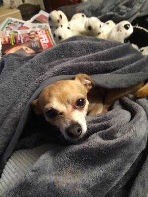 Gaststätte Und Pension Köhlerhütte